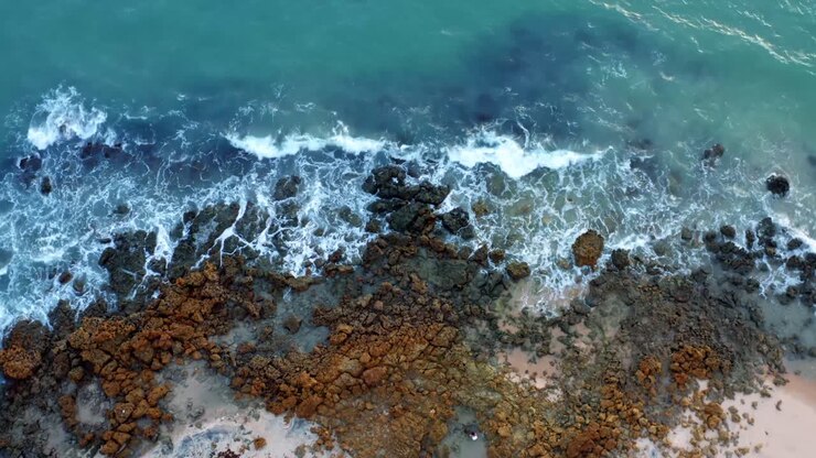 Beautiful lowering bird'd eye view of ocean waves hitting rocks on the shore of a tropical Northern Brazil beach named Tabatinga with blue water and golden sand near Joao Pessoa on a warm summer day