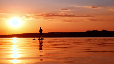 lonely man stands on the sup board holding an oar. paddle-boarding on the calm river at sunset. low angle view.