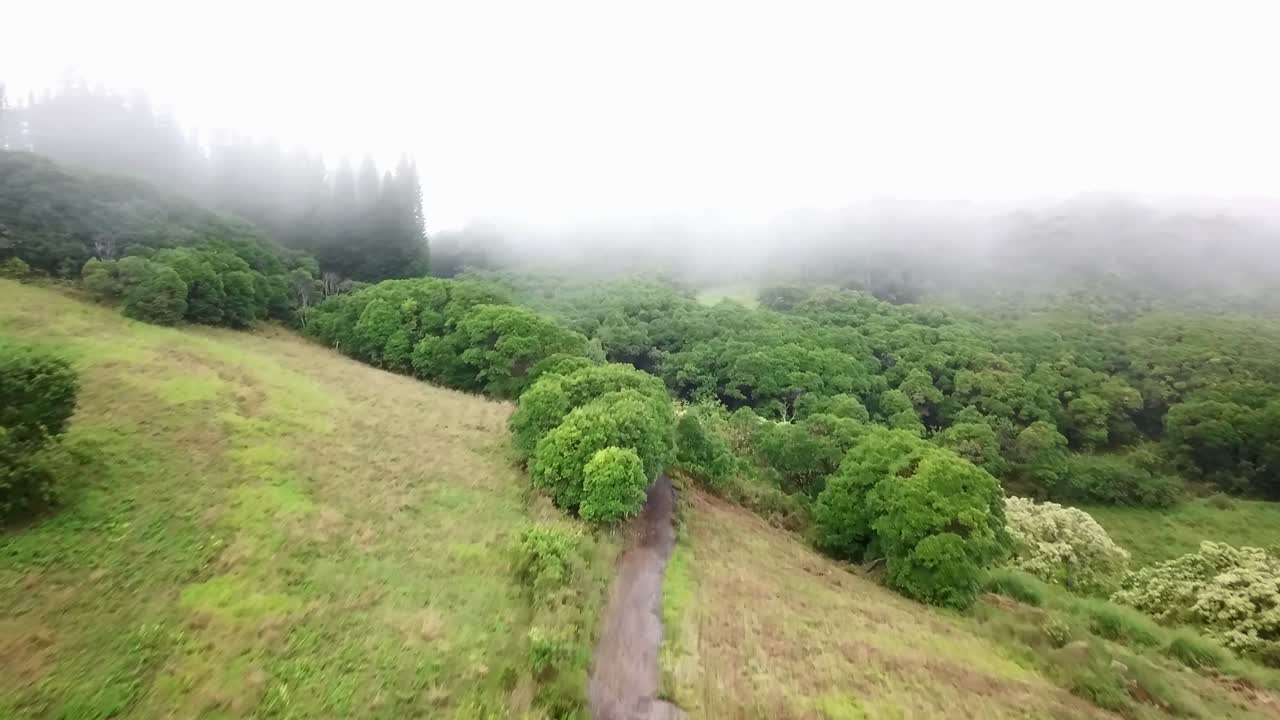 하와이 - 비와 안개 속으로 드론을 이용한 작은 하이킹 1부