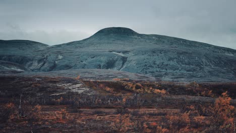 autumn tundra landscape-1