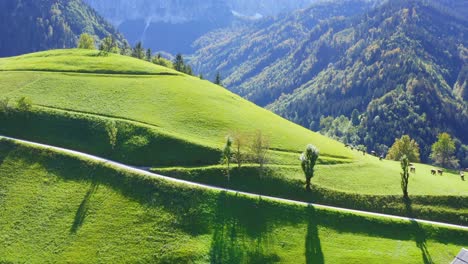 fly over green grassland fields, mountains in background
