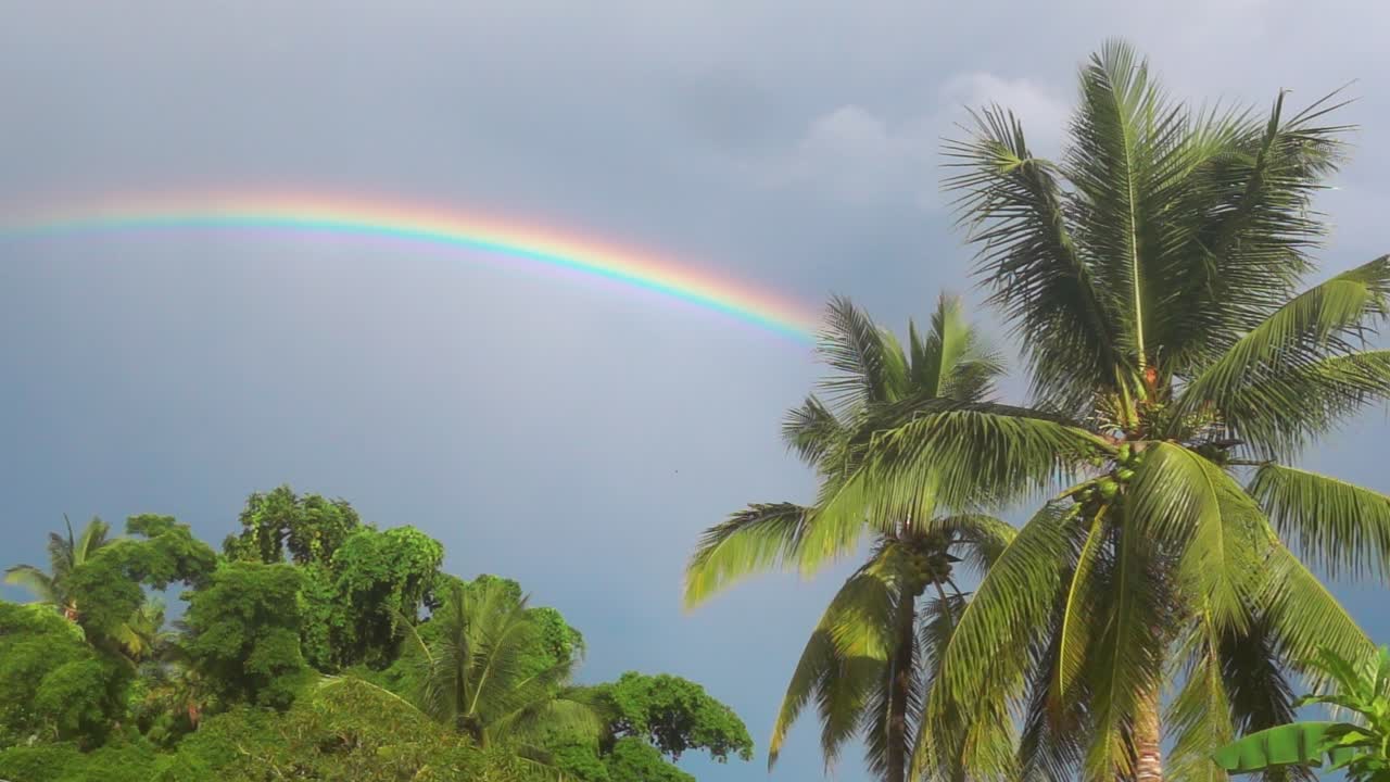 arco iris sobre las palmeras en el cielo filipino después de la lluvia
