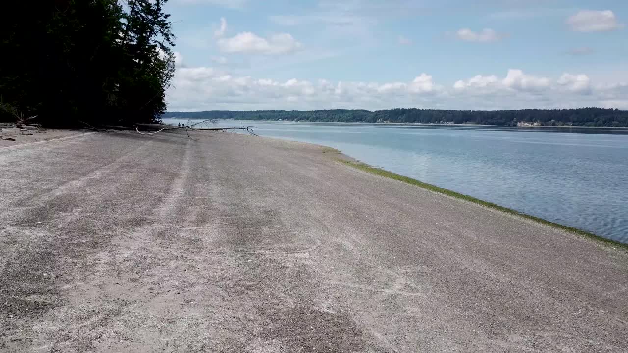 멀리 떨어진 나무가 쓰러진 바위 해변을 따라 이동하는 낮고 넓은 공중 샷