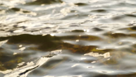 water surface, ripples in slow motion close up