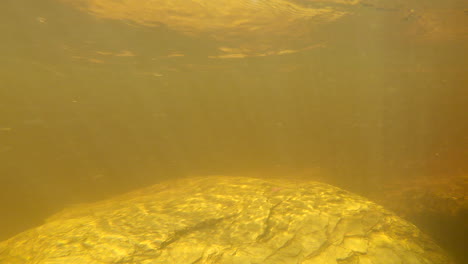 vista submarina mientras la corriente del río mirky pasa corriendo a la luz del sol dorada