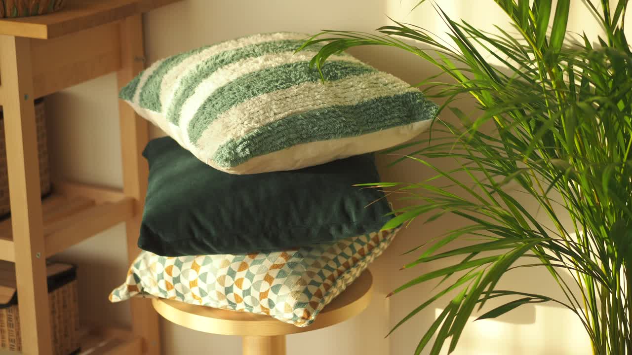 Stack of Decorative Pillows and a Green Houseplant in Sunlight