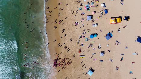 Drone-aerial-landscape-view-of-people-on-beach-break-shore-sun-baking-umbrella-swimming-towel-ocean-holiday-Summer-Australia-Maroubra-Coogee-Bondi-NSW-Australia