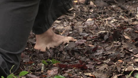 hands and feet of a dancer in contact with natural organic decaying leaves in the forest