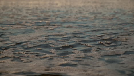 olas suaves en la playa