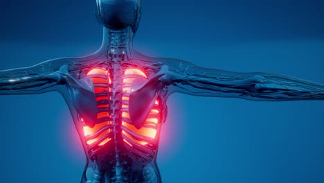 examen radiológico de los pulmones humanos