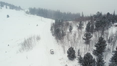 land rover defender d90 suv backcountry off-roading uphill through snowy alpine forest road near rocky mountains nederland boulder colorado usa during light blizzard snowfall