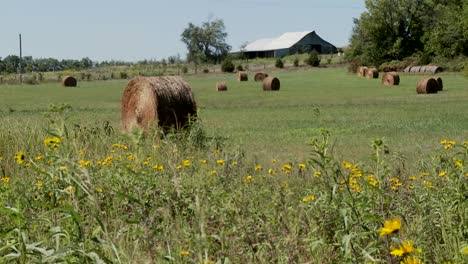 Bales-of-hay-in-the-fields-of-rural-farm