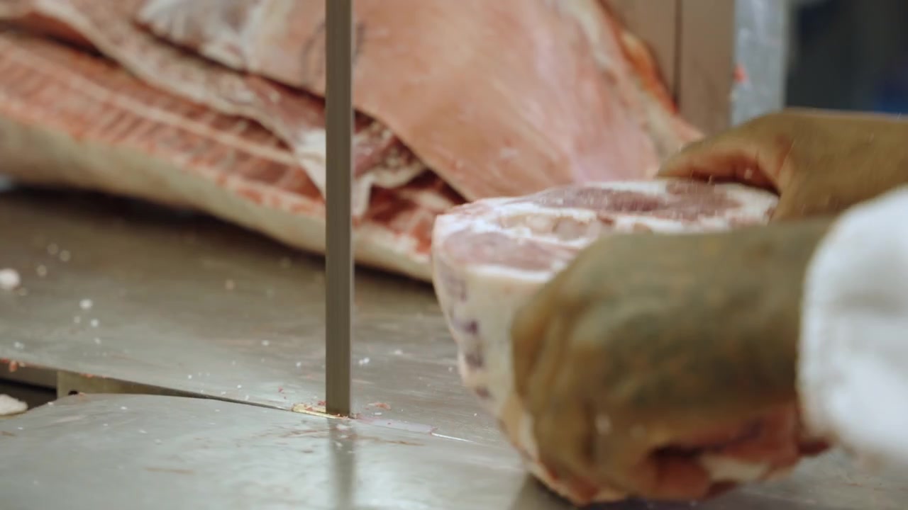 Gloved butcher guides a large carcass across a vertical bandsaw on a stainless steel table in an industrial butchery.