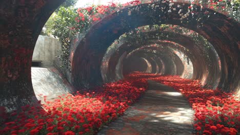 a tunnel of red flowers in the middle of a stone wall