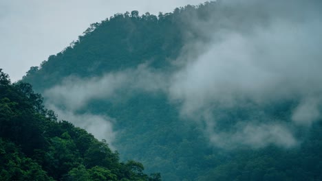 névoas da selva timelapse