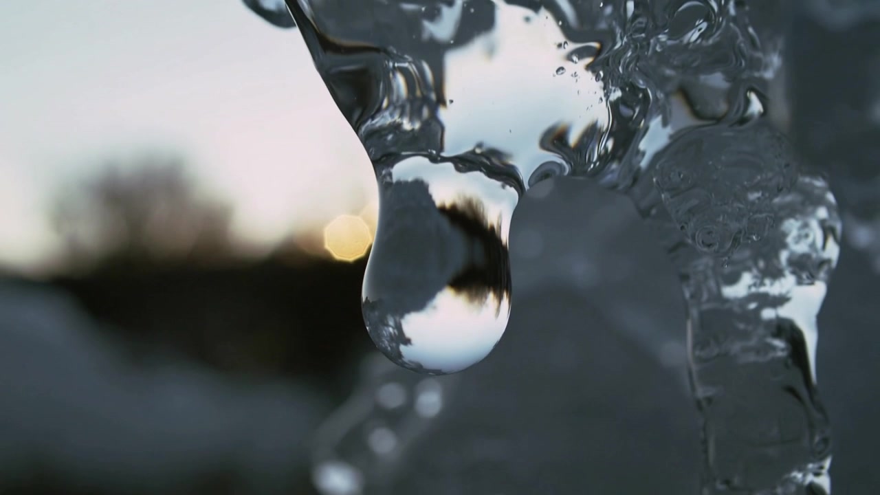 Солнечный свет согревает кончик сосульки, капля воды растет и вытягивается в сумерках на фоне линии деревьев и солнца.
