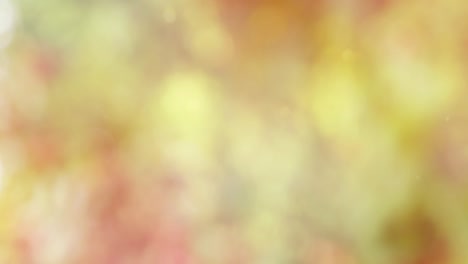 abstract color background with bokeh motion
