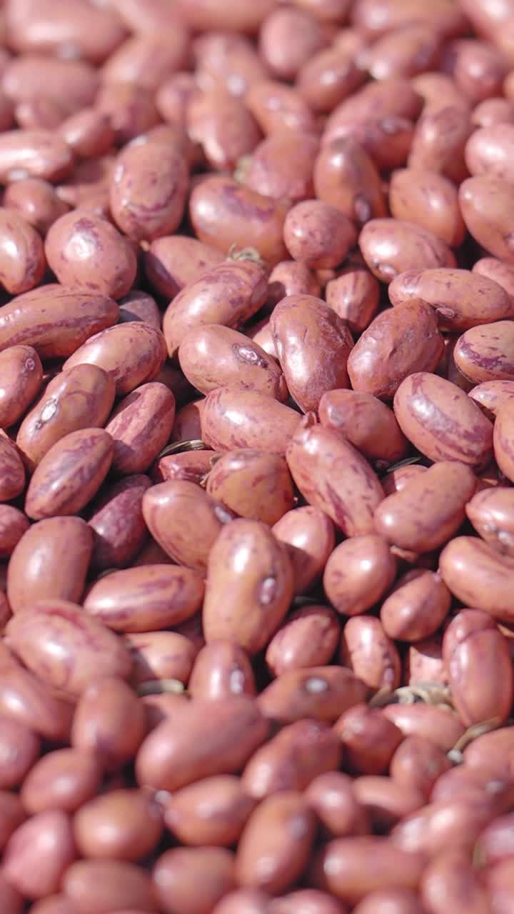 Close-up View of Dry Red Kidney Beans