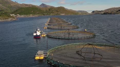 Aerial-footage-Farm-salmon-fishing-in-Norway