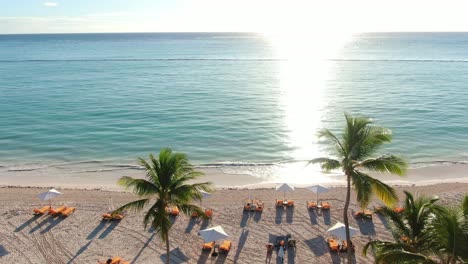 aerial over palm trees, luxury beachfront resort with clear ocean waters