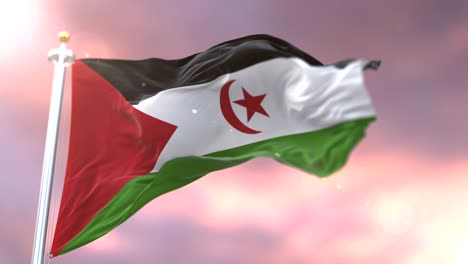 flag of western sahara waving at wind in slow at sunset, loop