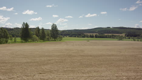 long term timelapse zoom in of a ploughed field turning green with crops