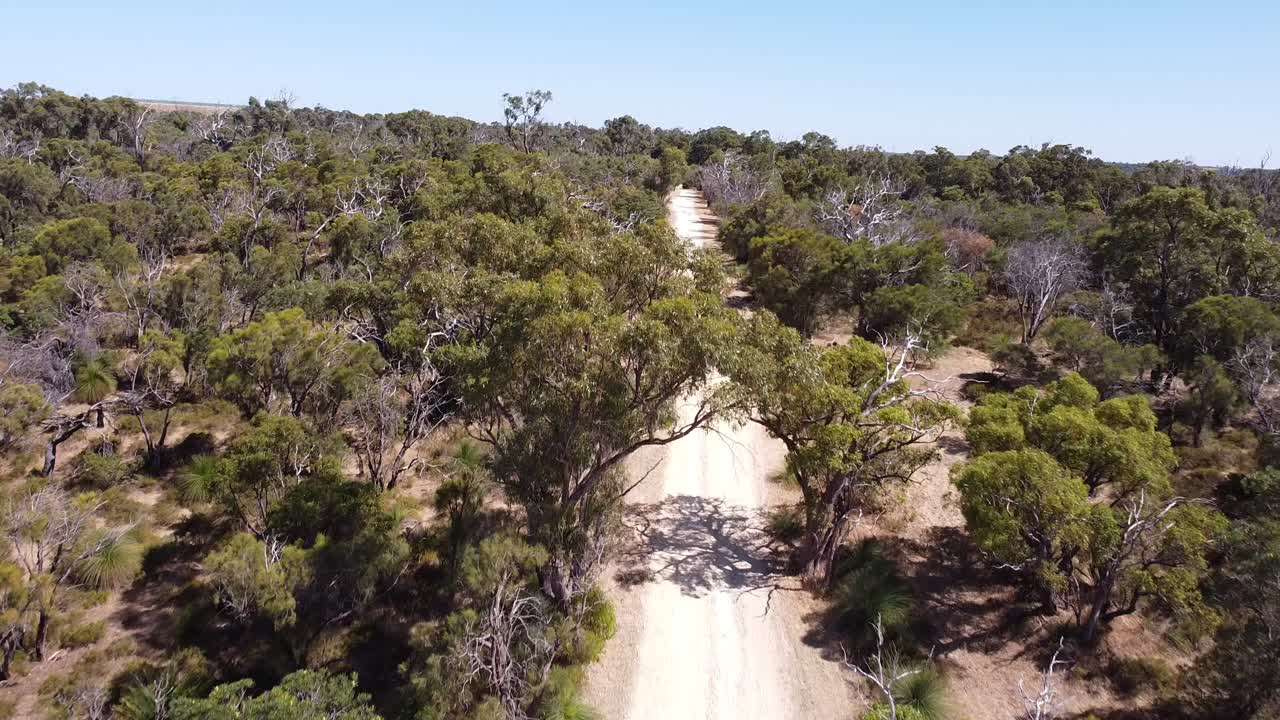 sendero de herencia de sobrevuelo, sendero de caminata por el bosque hacia árboles altos, yaberoo budjara, perth, australia