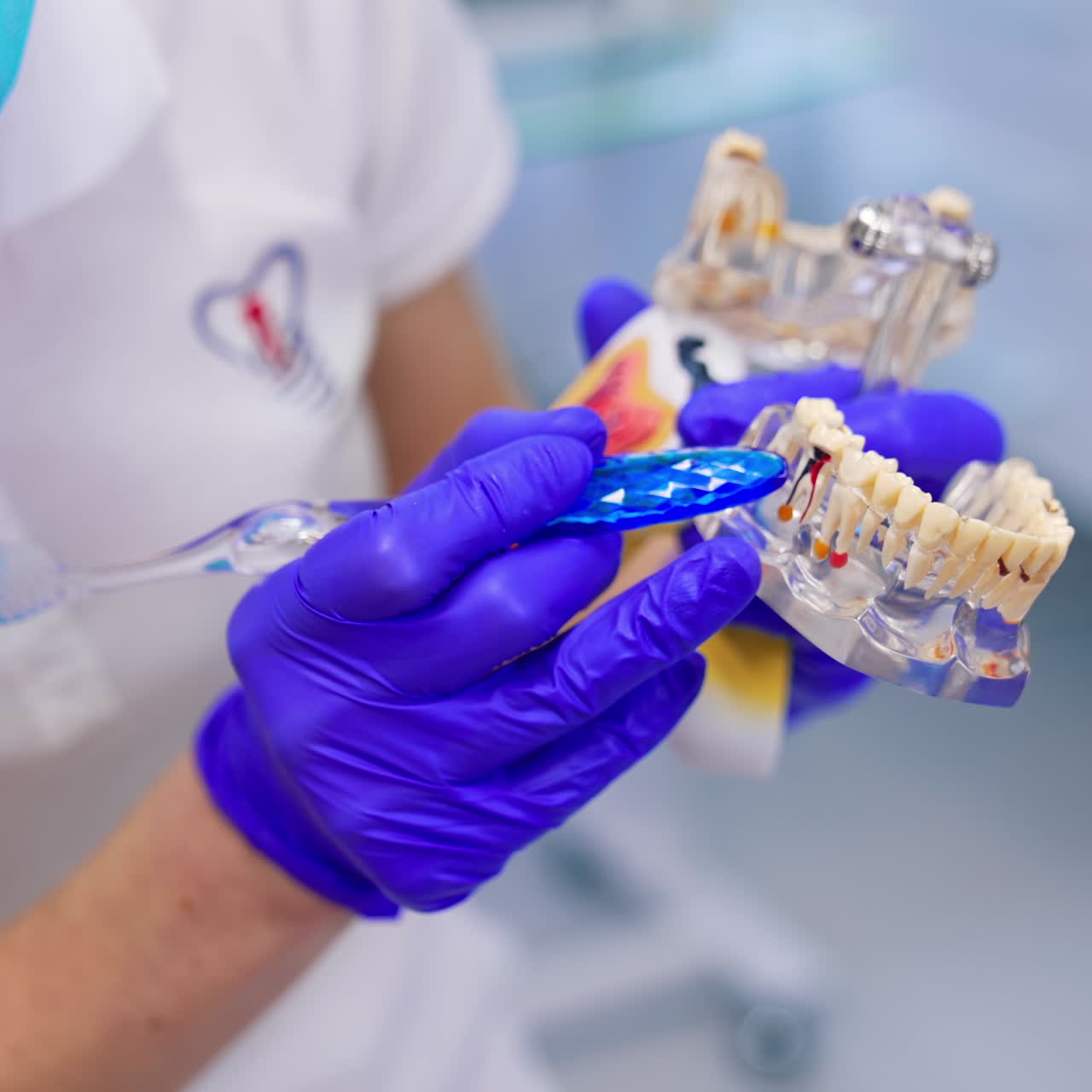 Dentist consulting in dental clinic. Doctor showing jaw model in dental clinic