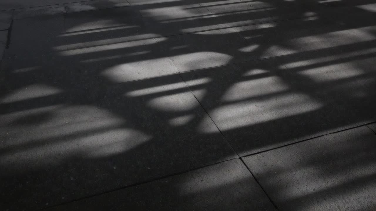 Moving overhead shadows casting oval patches and linear bands on concrete slabs, sunlight shifting