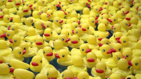 yellow rubber ducks floating in pool at county fair