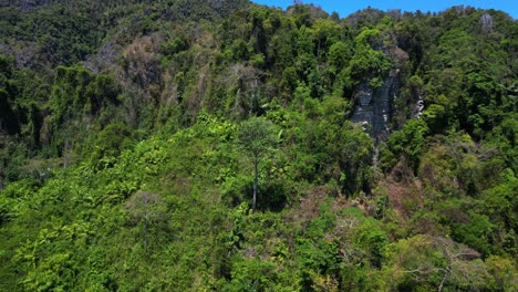 naturaleza intacta tierra inaccesible naturaleza selva montañas