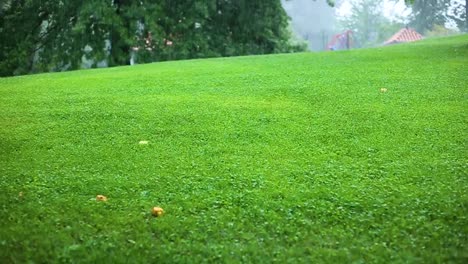 Hierba-Verde-Bajo-La-Lluvia-En-Un-Día-De-Verano-O-Primavera