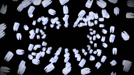 flying many white teeth on black background. dental care concept. 3d animation of tooth rotating. loop animation.