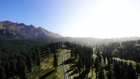 scenic mountain road winding through dense evergreen forests at dawn