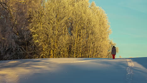 A-young-woman-dressed-warmly-walks-across-the-snow-and-into-the-forest-and-returns-on-the-same-path---time-lapse-with-shadows-from-the-sunshine