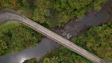 top-down descend towards a person crossing a river bridge within lush trees and bushland