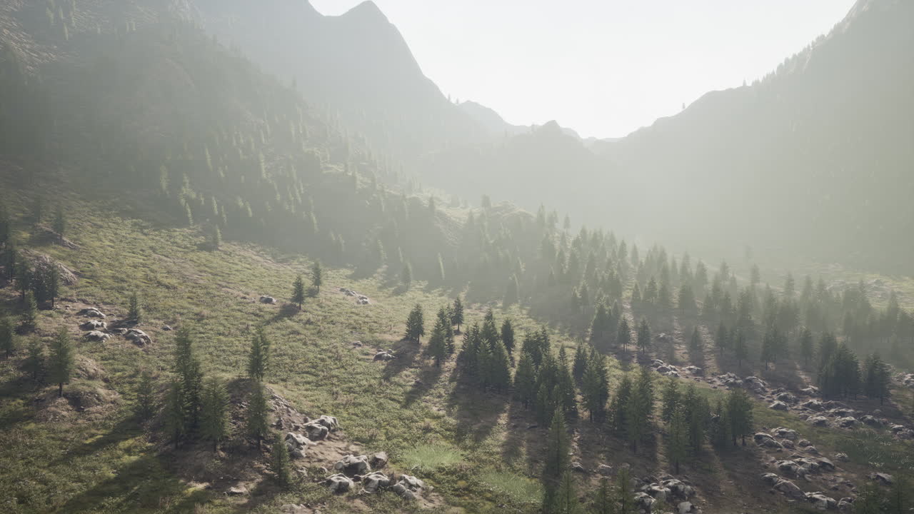 cordillera con valle y bosque