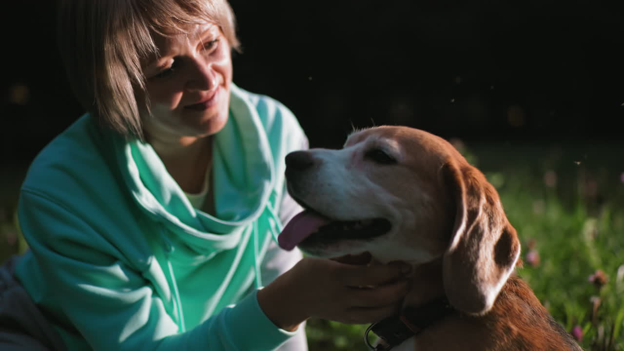 Coach tickles beagle dog under sunset in park, creating joyful bonding moment as sunlight bathes grassy field, capturing pure happiness and trust between playful pet and trainer