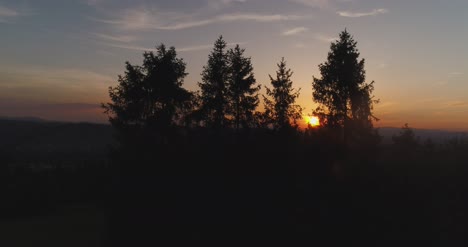 Aerial-Shot-Of-Woods-Forest-Nature-Landscape-6