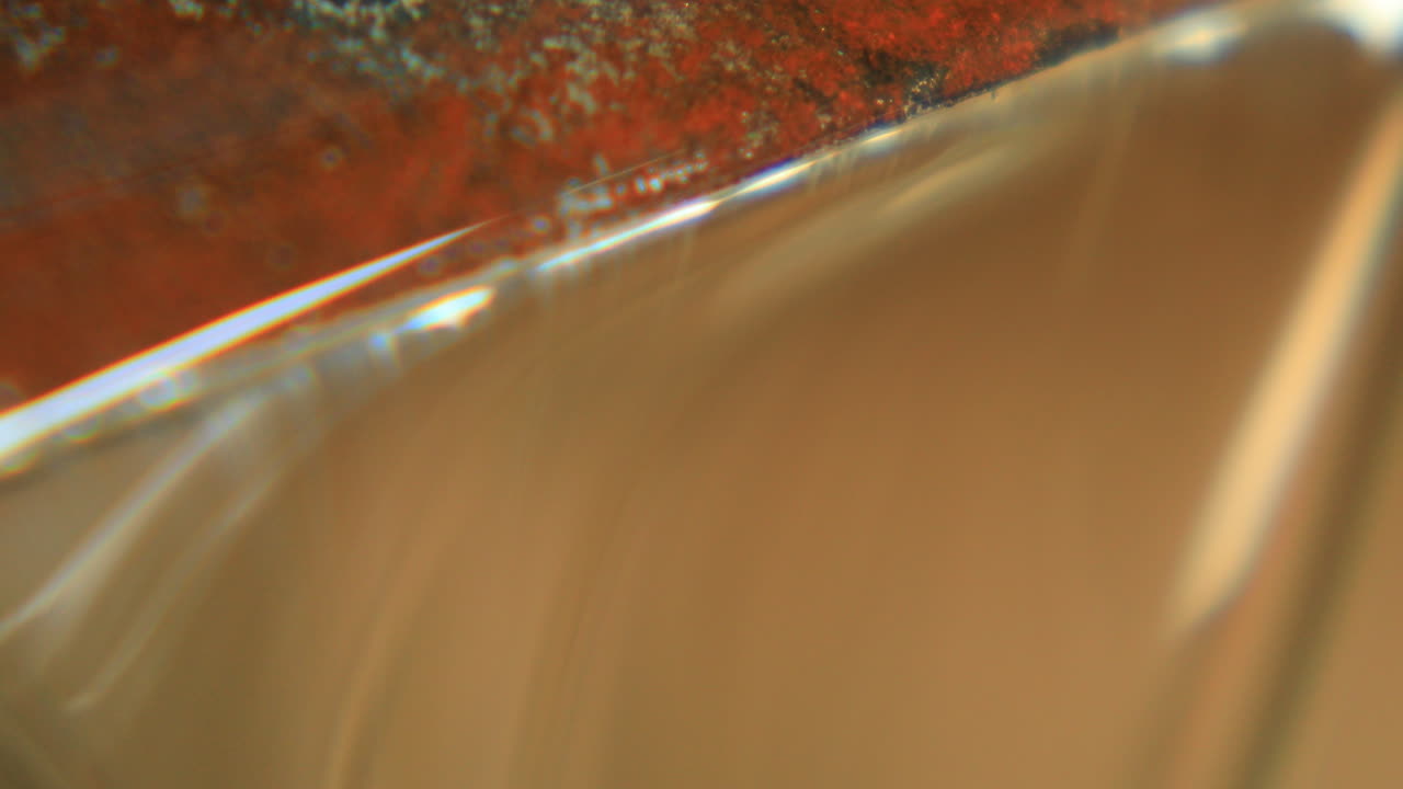 primer plano del aceite de palma de macauba sostenible, que se produce en la fábrica