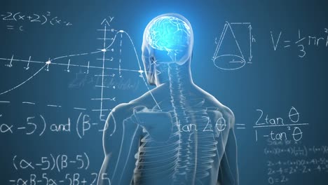 animación de sumas matemáticas y diagramas sobre el cerebro digital iluminado en el cuerpo humano.