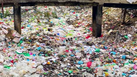 a group of stray dogs searches amongst the landscape of garbage under a bridge