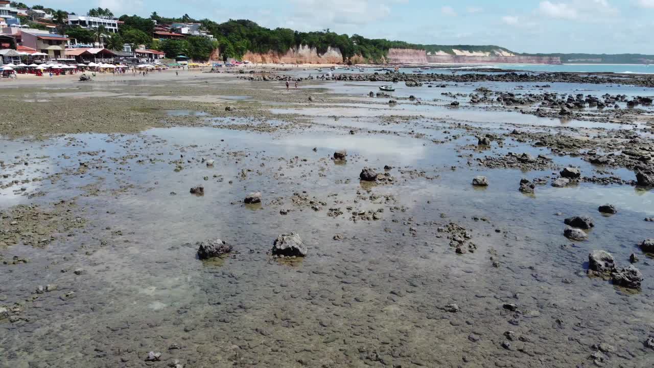 girando sobre rocas en hermosas pozas de marea brasileñas