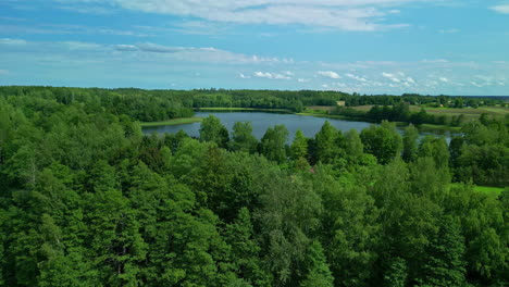 Flying-Over-Lush-Trees-Near-Fishing-Lake-In-Summertime