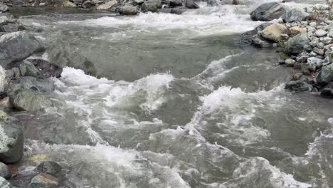 Nature Beauty, Travel Through Kashmir Green Landscapes, Birds, Water, Plants and the Life of Indian Farmers, ploughing bull and Environment Lovers