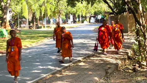 jóvenes monjes caminando juntos en un entorno sereno