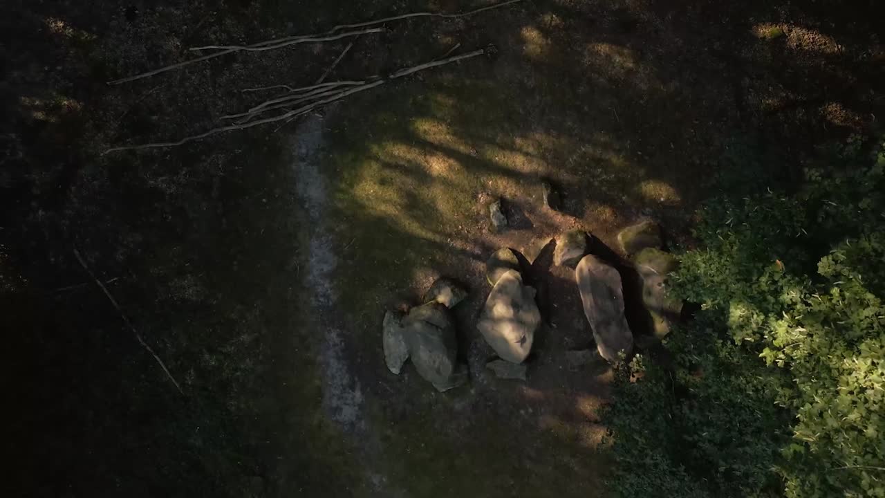 바위 가 있는 숲 의 공중 사진