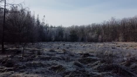 flying over frozen ground