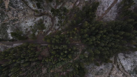 flying over the trees and overlooking the forest during a light beginning snowfall