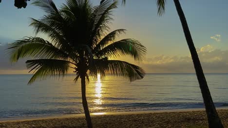 idyllic and relaxing tropical beach at sunrise sunset, with gently lapping waves under a blue and gold sky with iconic palm trees in silhouette in the foreground